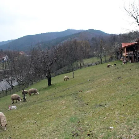 Ethno Village Bogut * Bogutovac